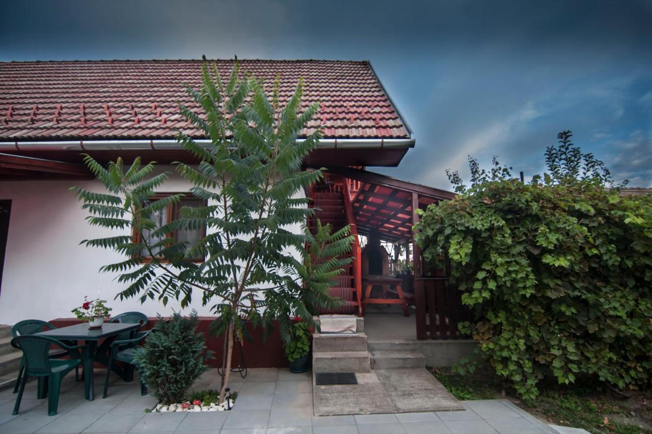 Hotel Dobra Haz à Covasna Extérieur photo
